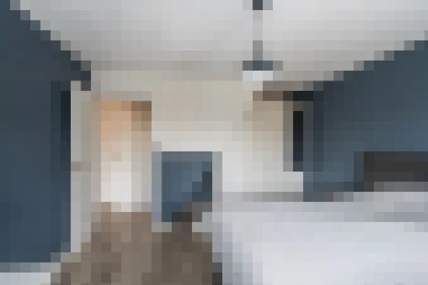 Molenvlietsestraat 26 Tholen thumbnail 33