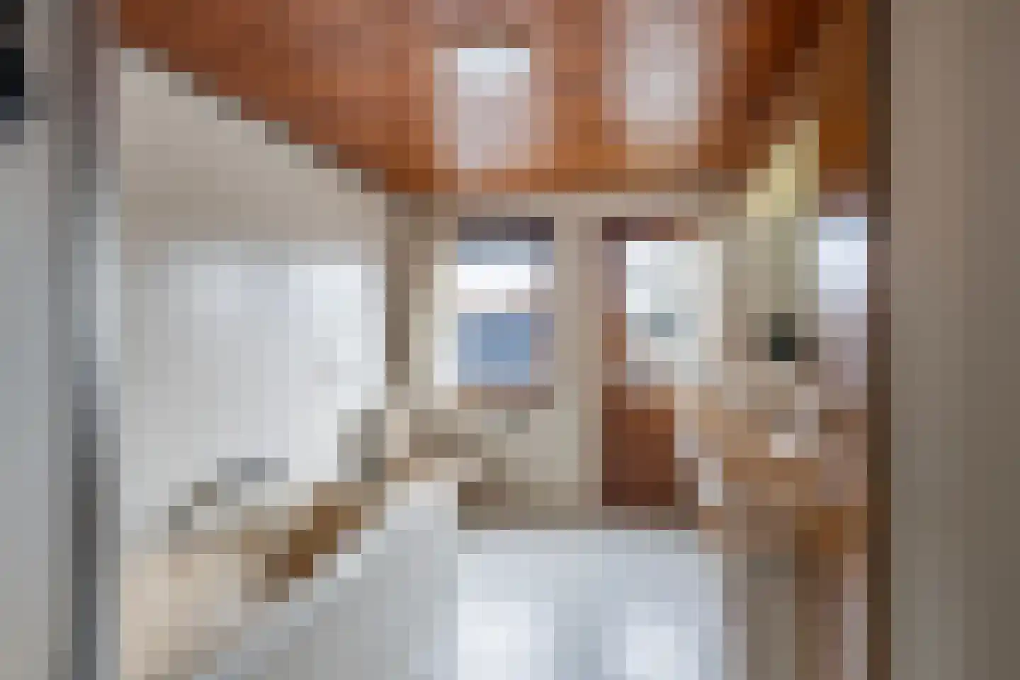 Molenvlietsestraat 26 Tholen thumbnail 39