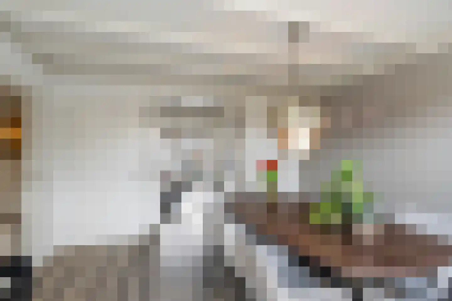 Molenvlietsestraat 26 Tholen thumbnail 4