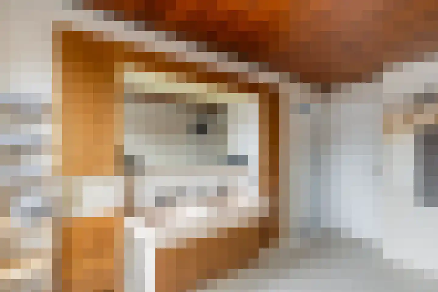 Molenvlietsestraat 26 Tholen thumbnail 40