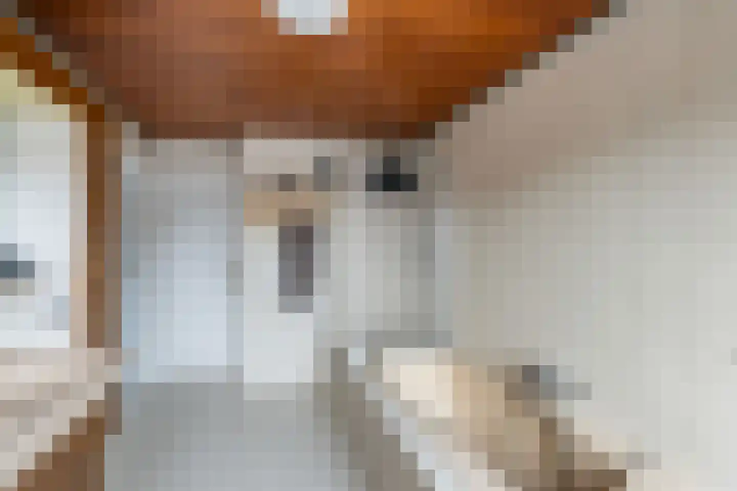 Molenvlietsestraat 26 Tholen thumbnail 41