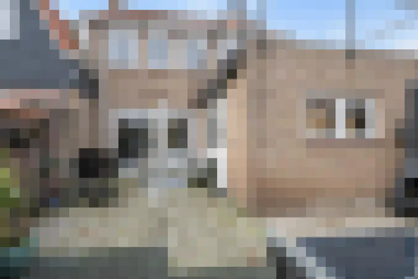 Molenvlietsestraat 26 Tholen thumbnail 50