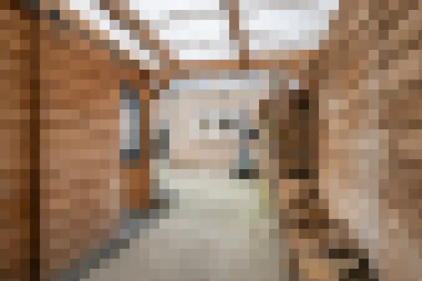 Molenvlietsestraat 26 Tholen thumbnail 52