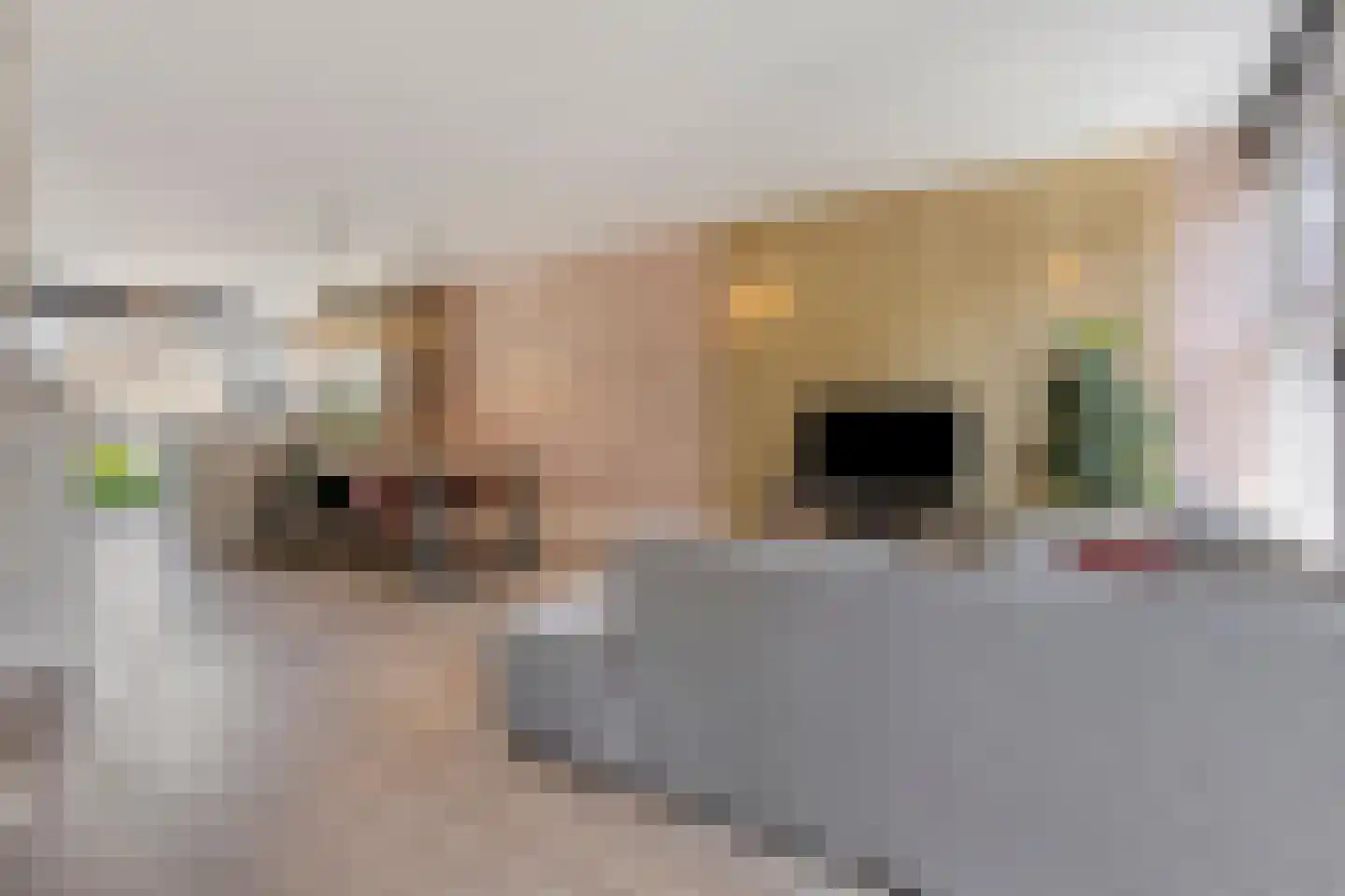 Molenvlietstraat 11 Waalwijk thumbnail 15