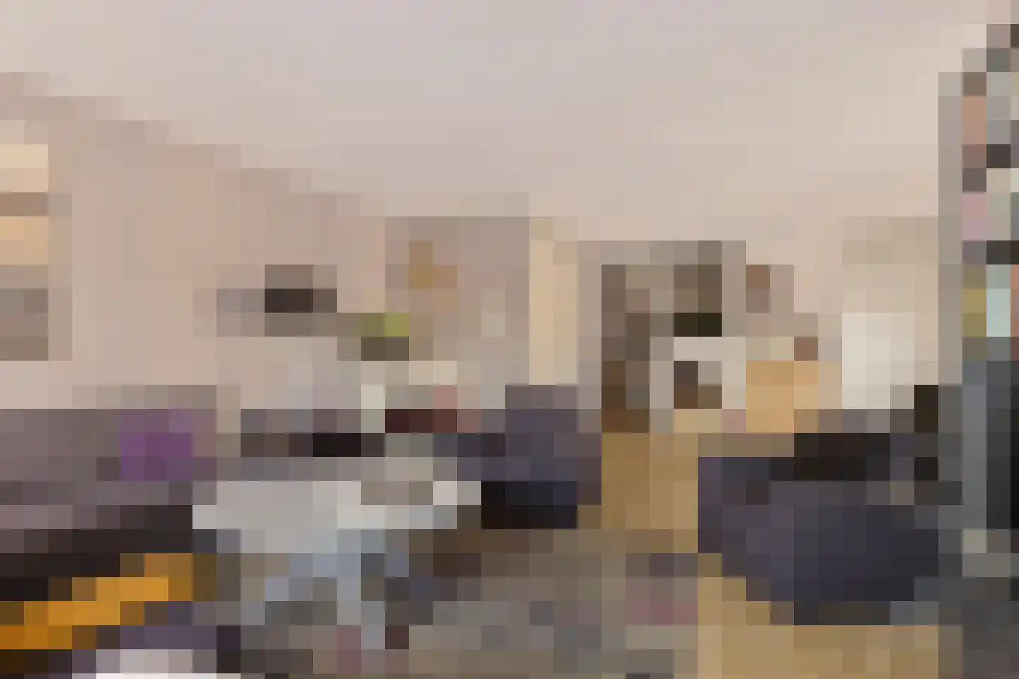 Molenwal 1 G Gorredijk thumbnail 12