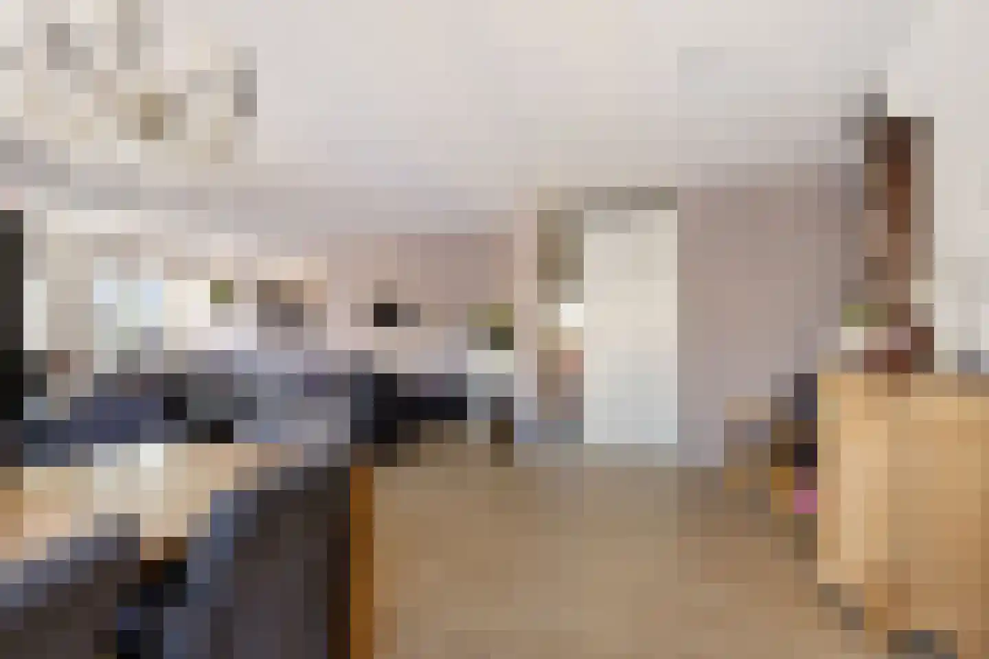 Molenwal 1 G Gorredijk thumbnail 17