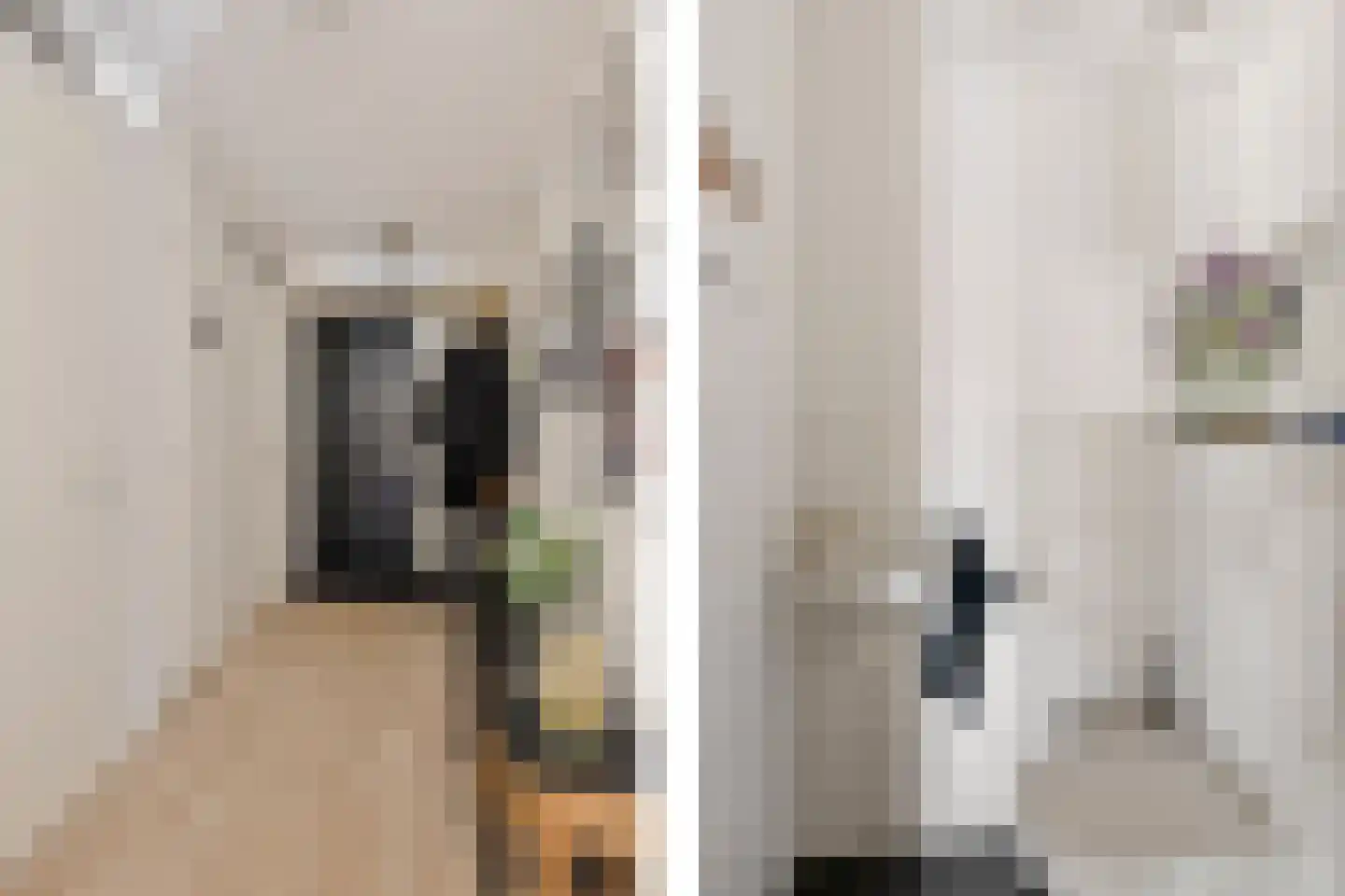 Molenwal 1 G Gorredijk thumbnail 24