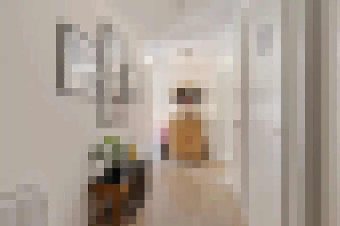 Molenwal 1 G Gorredijk thumbnail 9