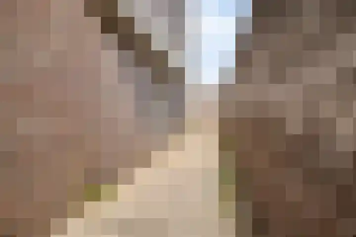 Molenwal 13 a Zaltbommel thumbnail 37