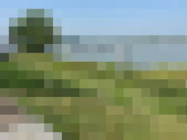 Molenwal 13 a Zaltbommel thumbnail 40