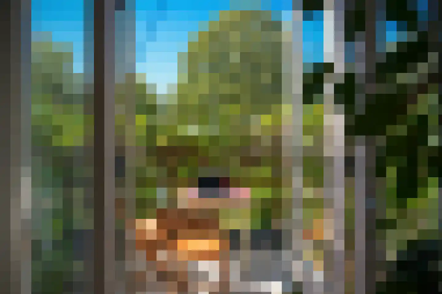 Molenwal 15 Culemborg thumbnail 18