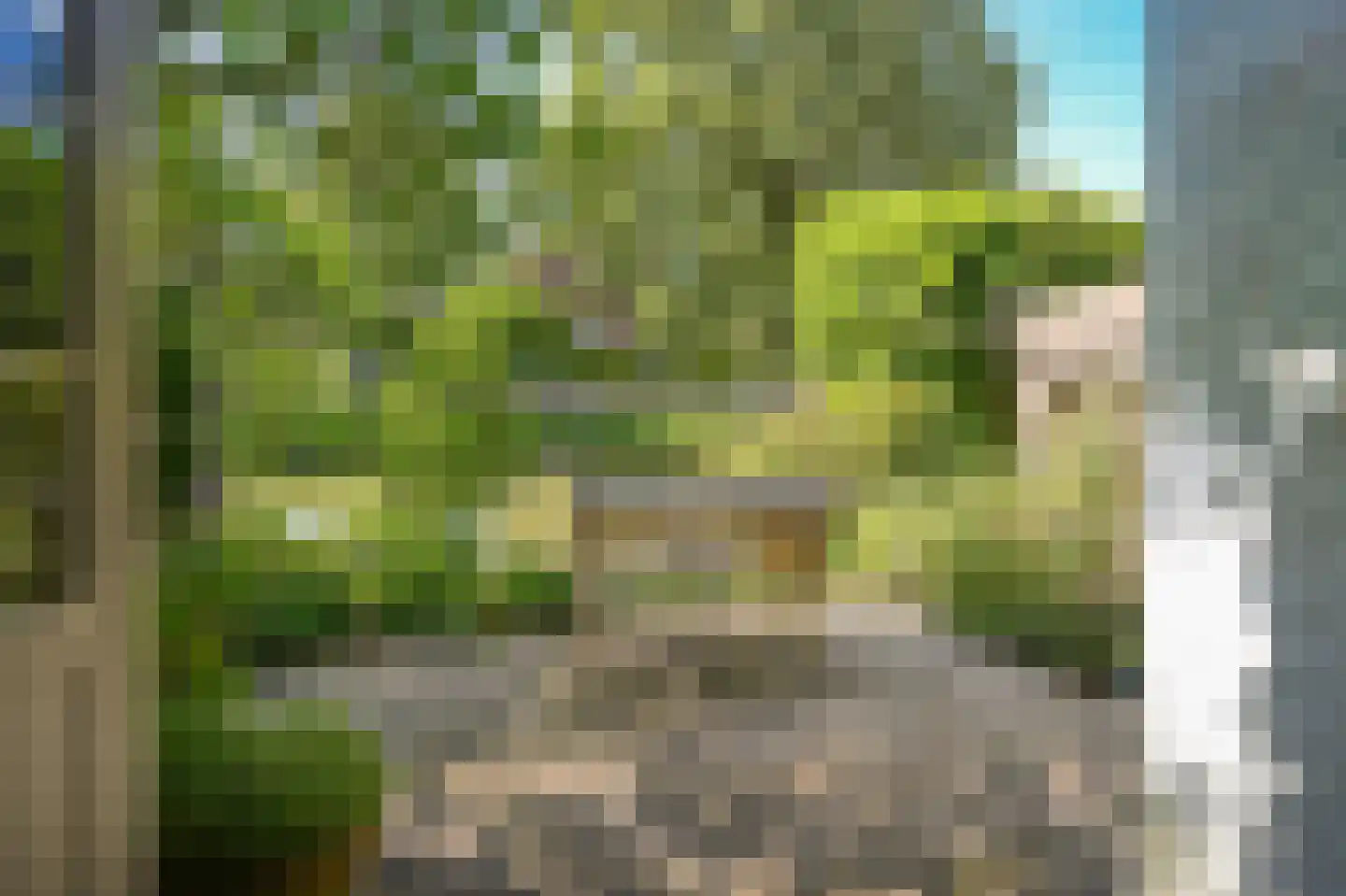 Molenwal 15 Culemborg thumbnail 24