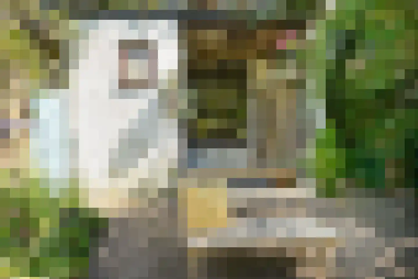 Molenwal 15 Culemborg thumbnail 26