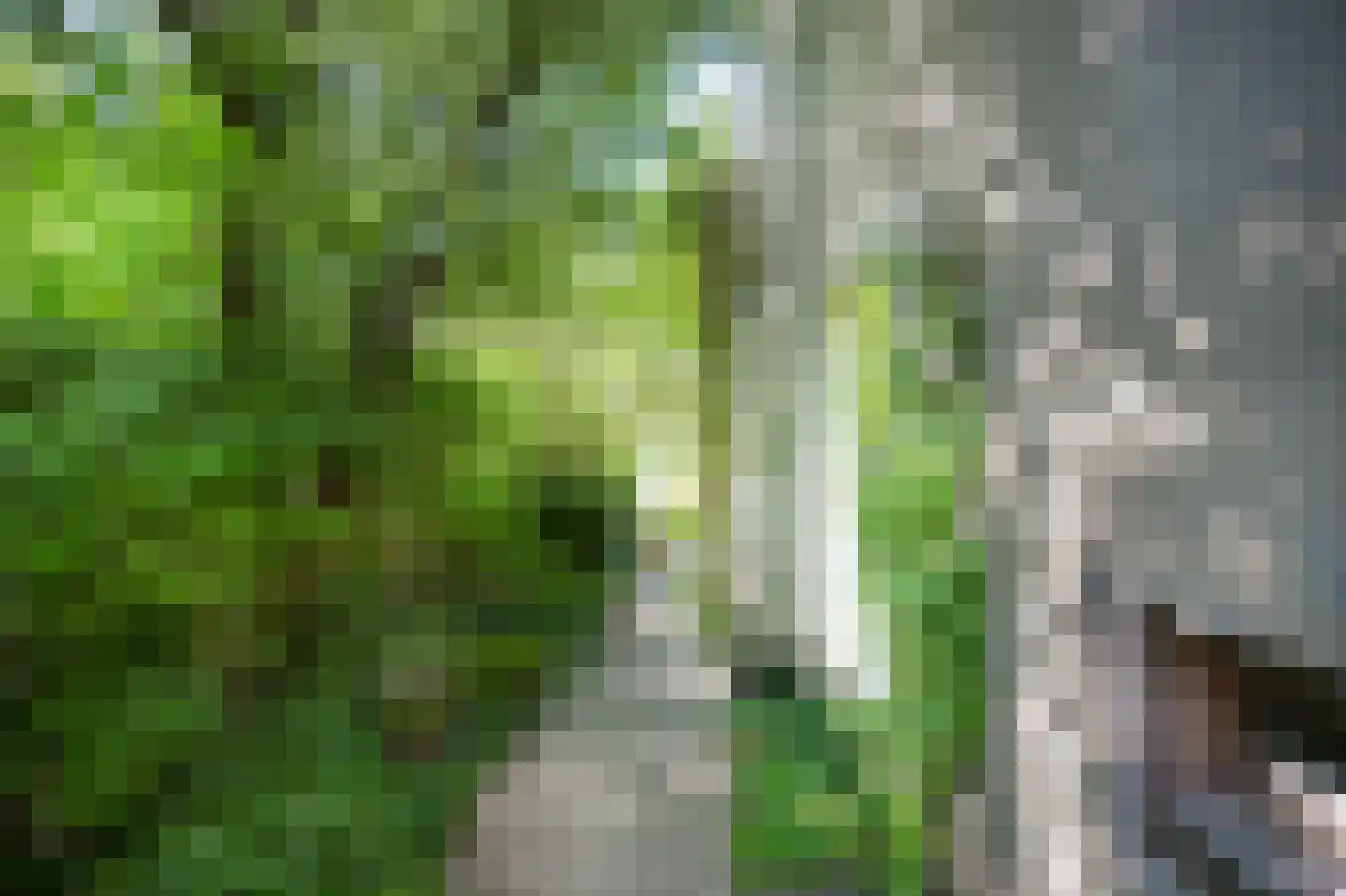 Molenwal 15 Culemborg thumbnail 30