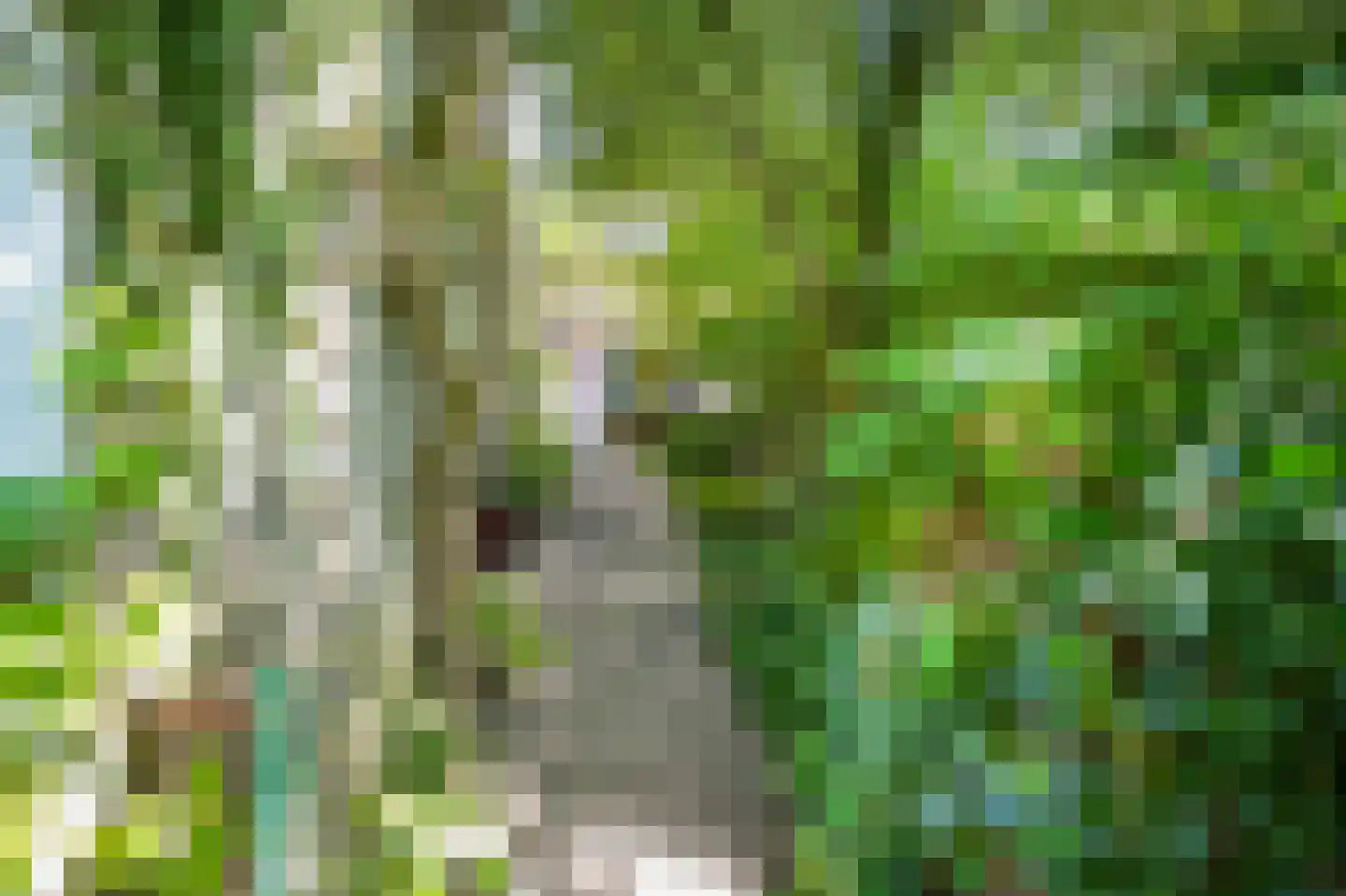 Molenwal 15 Culemborg thumbnail 31