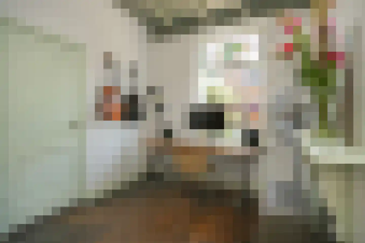 Molenwal 15 Culemborg thumbnail 5