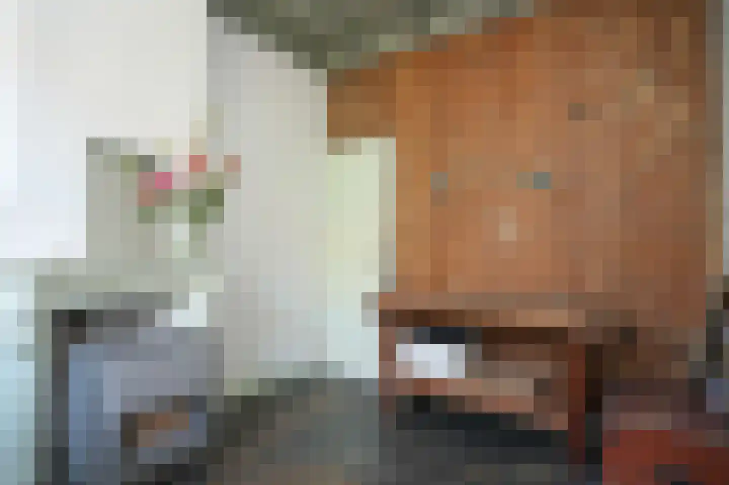 Molenwal 15 Culemborg thumbnail 6