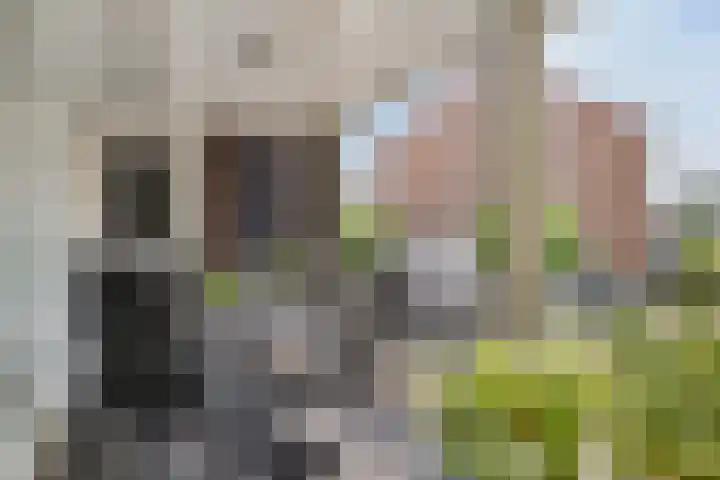 Molenwal 18 Oudewater thumbnail 12