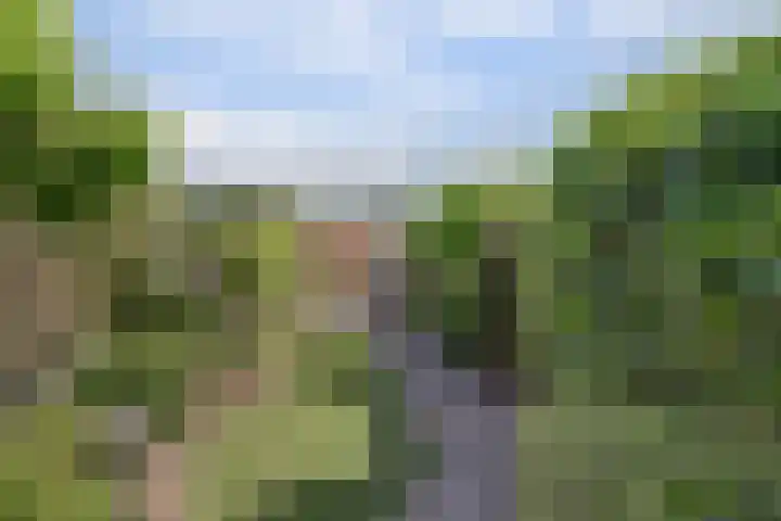 Molenwal 18 Oudewater thumbnail 29