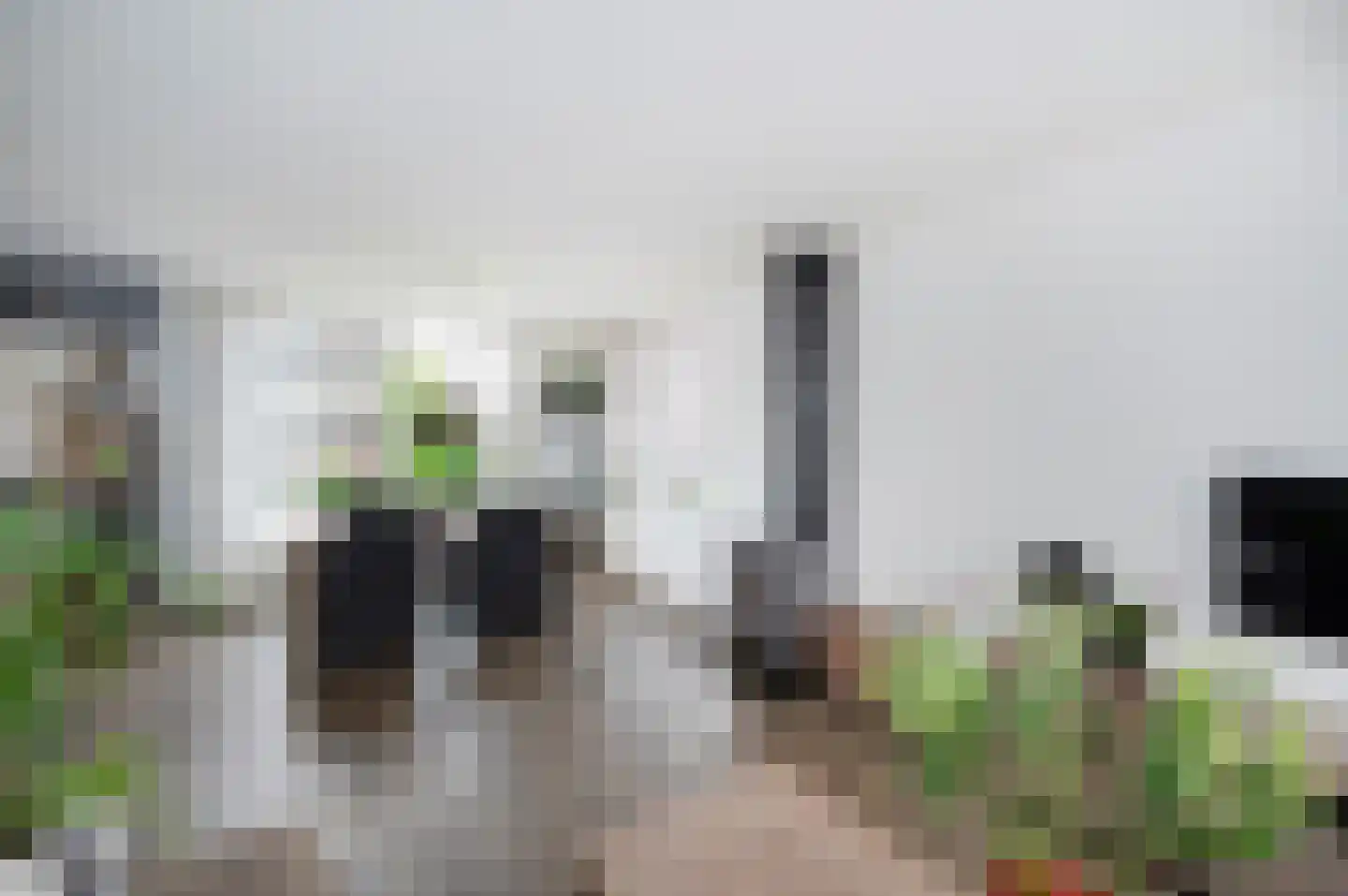 Molenwal 19 Oudewater thumbnail 13