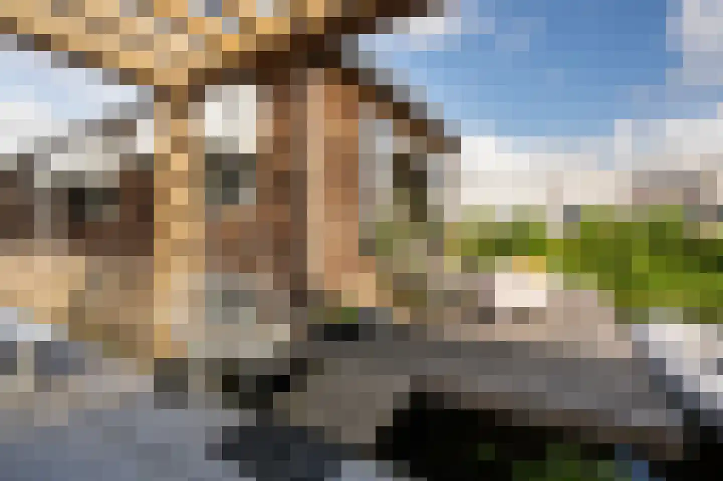 Molenwal 21 a Asperen thumbnail 26