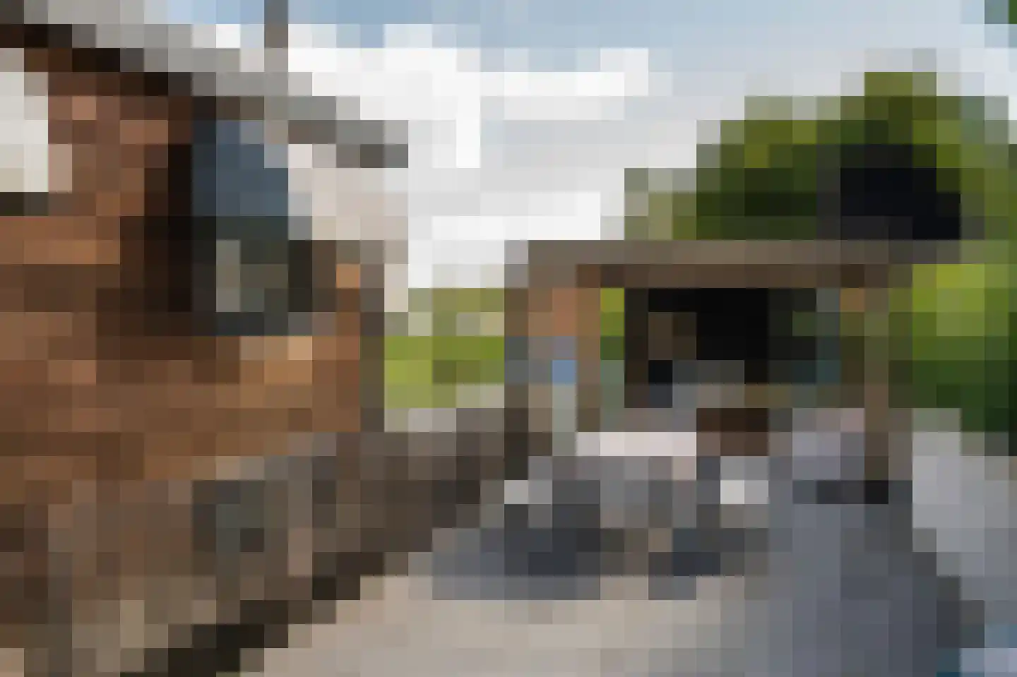 Molenwal 21 a Asperen thumbnail 28
