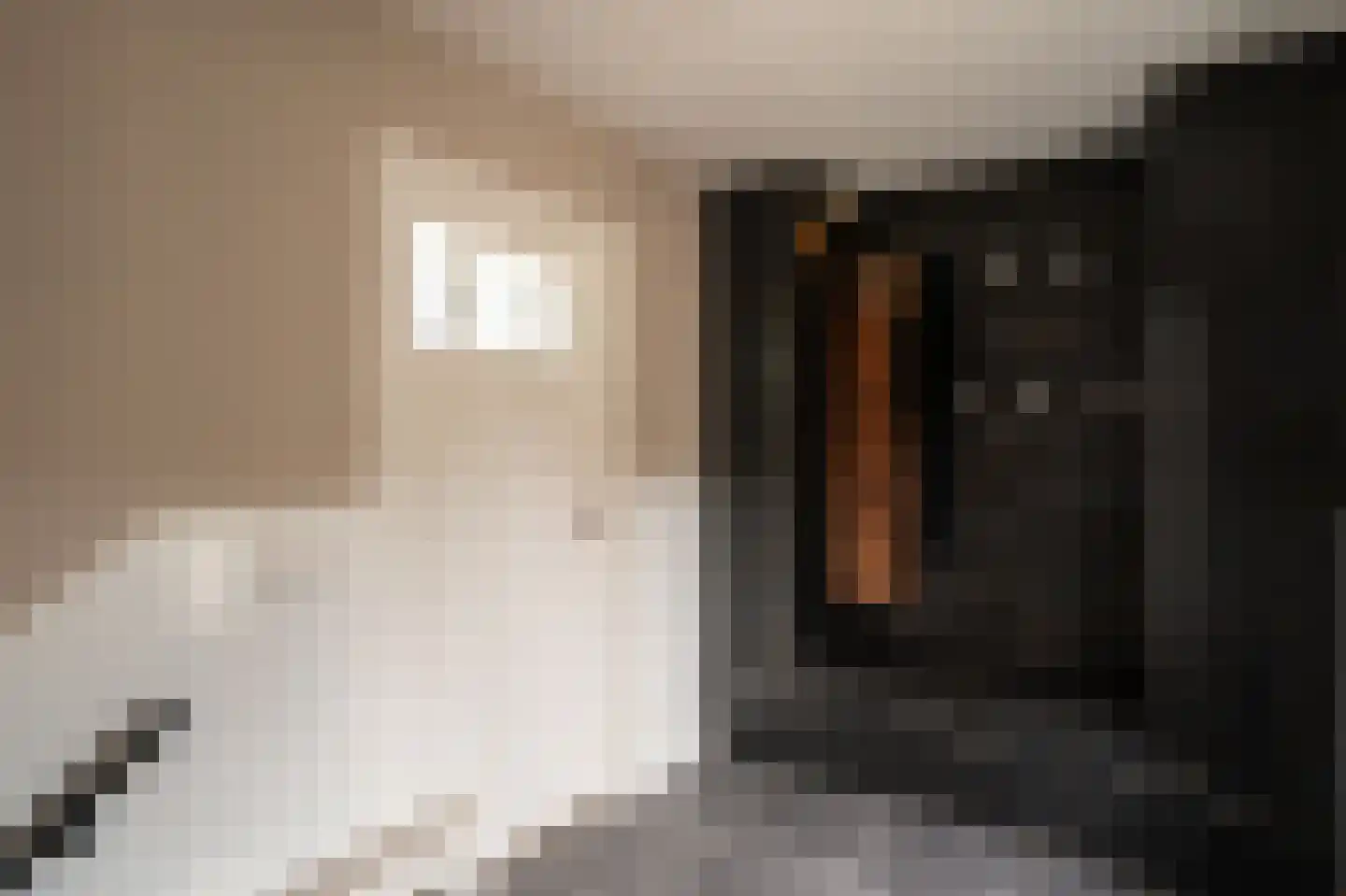 Molenwal 21 a Asperen thumbnail 30