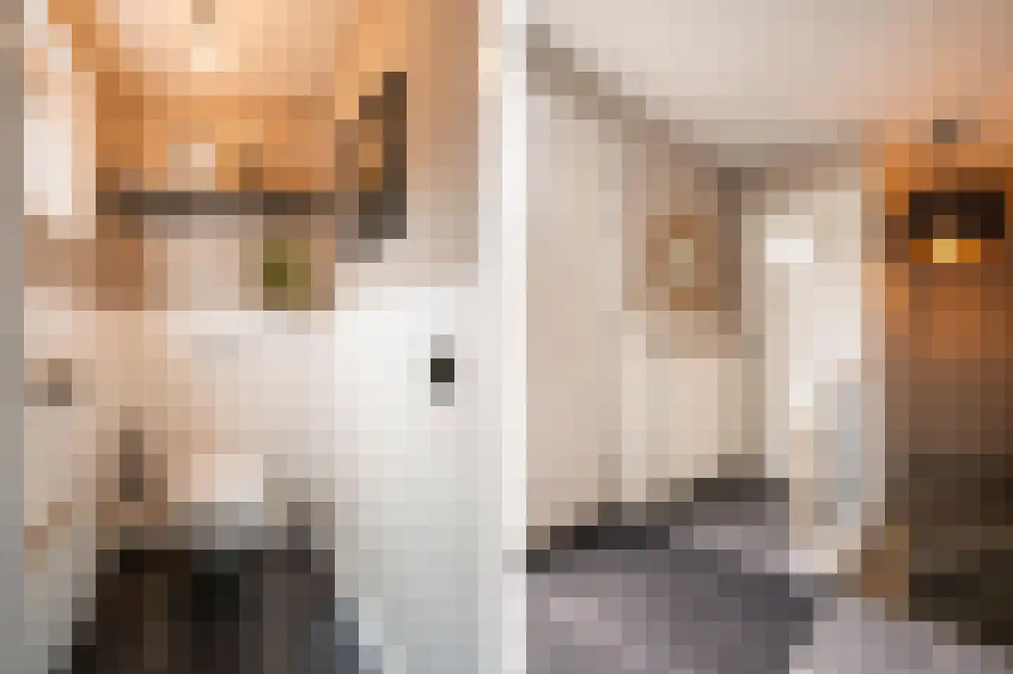 Molenwal 21 a Asperen thumbnail 31