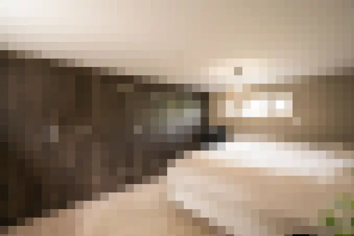 Molenwal 21 a Asperen thumbnail 33