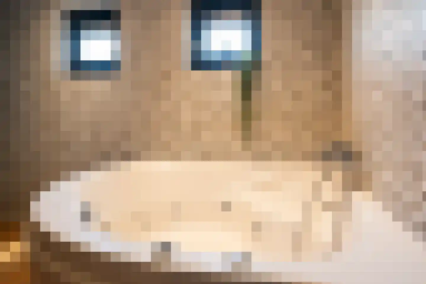 Molenwal 21 a Asperen thumbnail 39