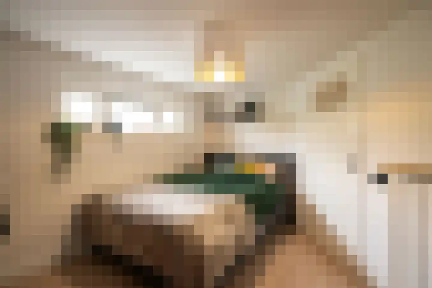 Molenwal 21 a Asperen thumbnail 41