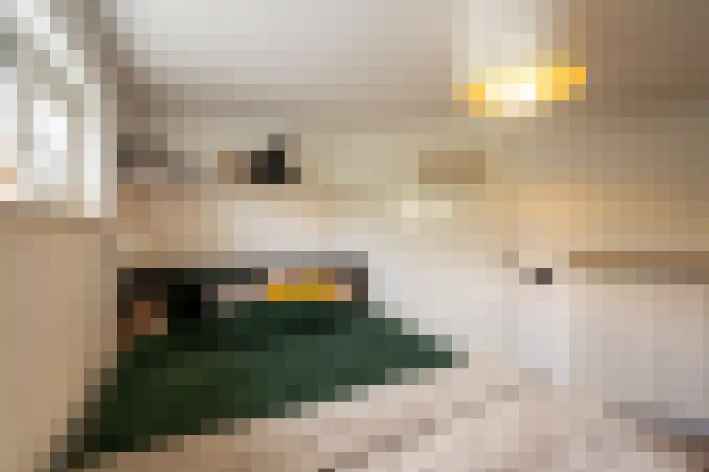 Molenwal 21 a Asperen thumbnail 42