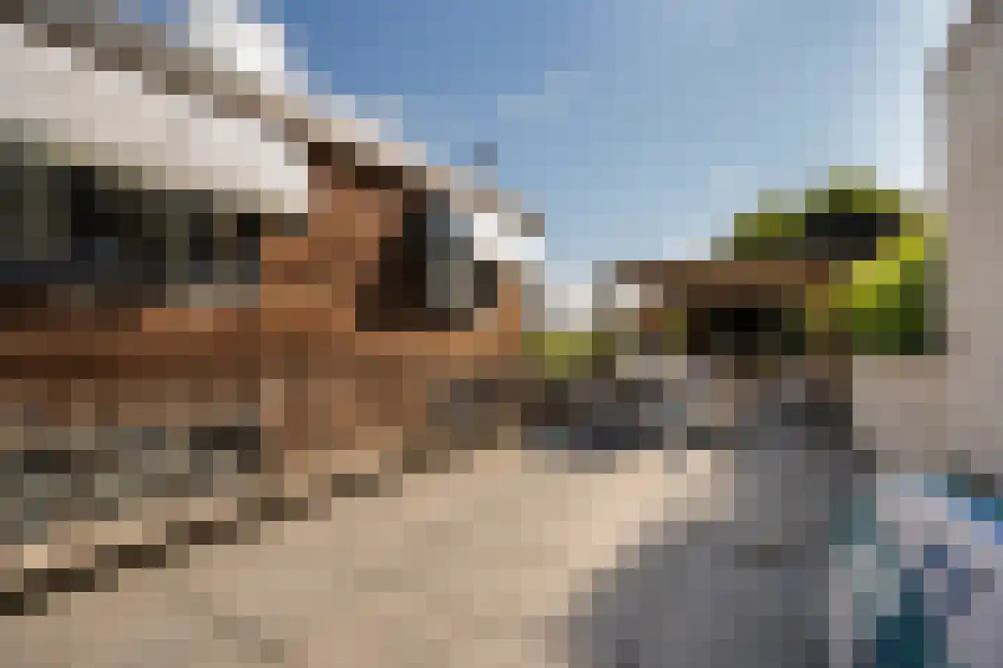 Molenwal 21 a Asperen thumbnail 47