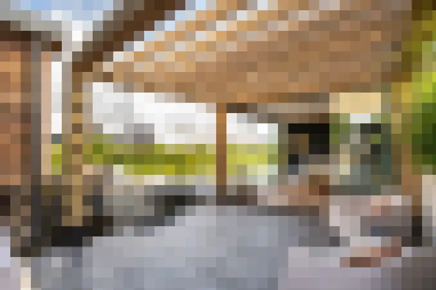 Molenwal 21 a Asperen thumbnail 5