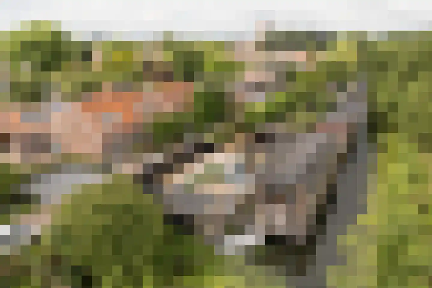 Molenwal 21 a Asperen thumbnail 53