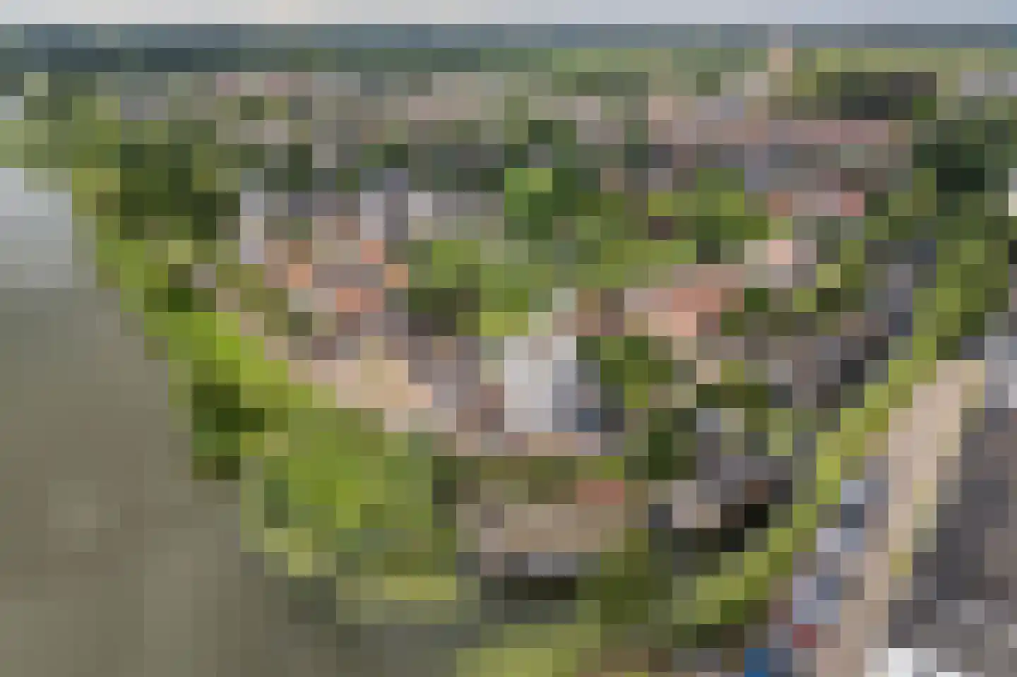 Molenwal 21 a Asperen thumbnail 54