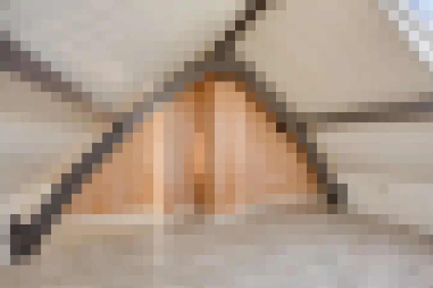 Molenwal 23 Zaltbommel thumbnail 20