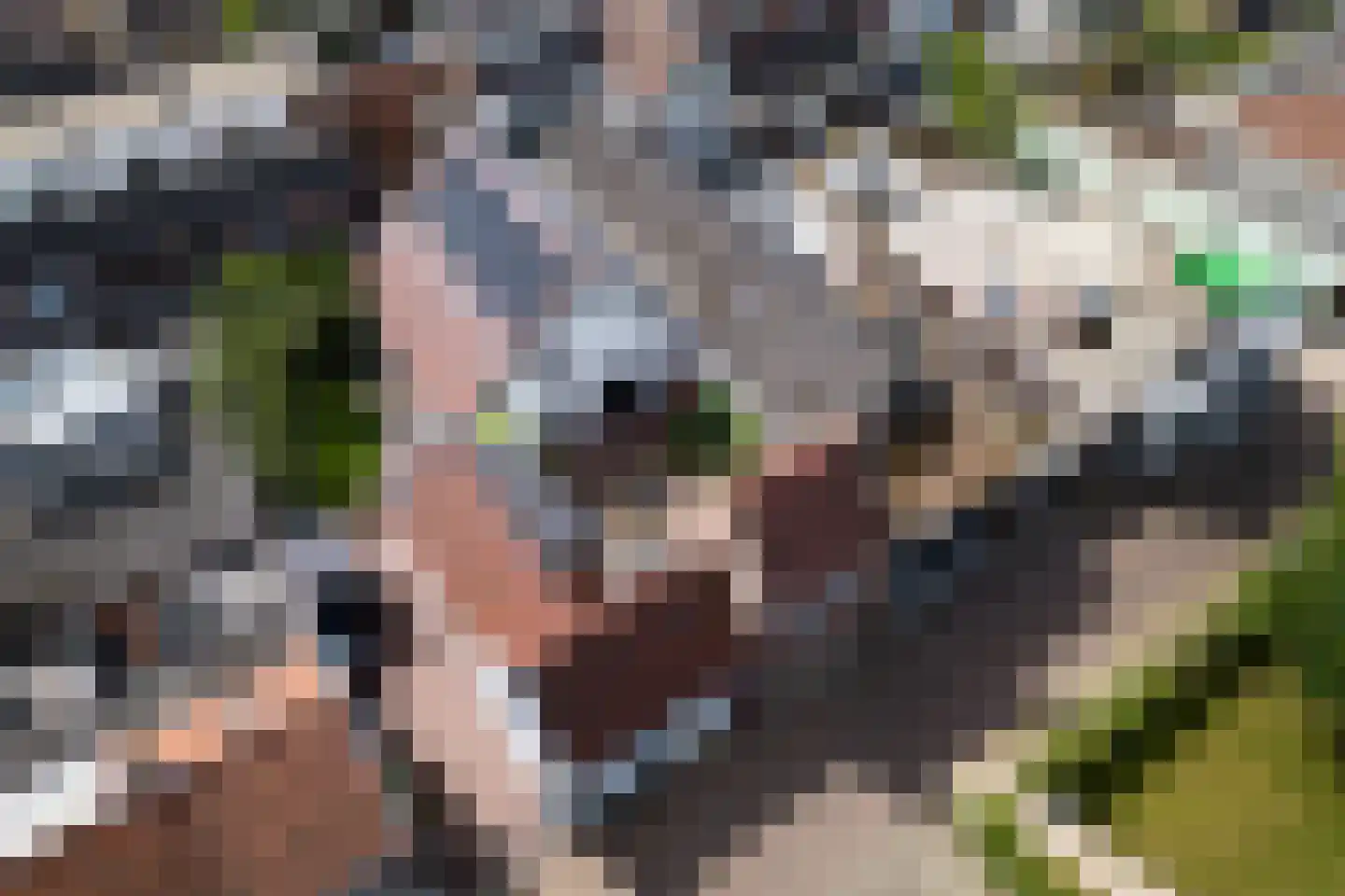 Molenwal 32 Culemborg thumbnail 54