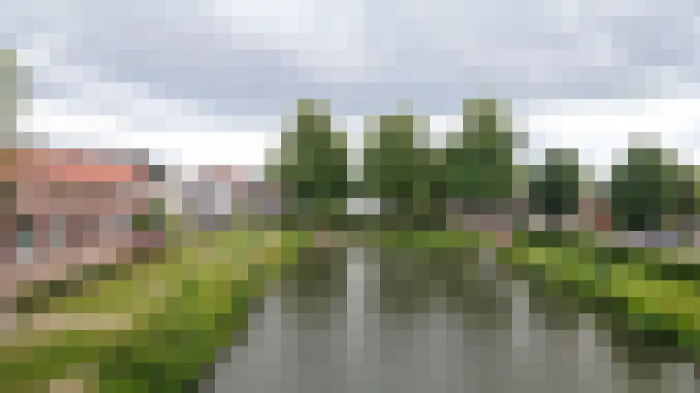 Molenwal 62 Culemborg thumbnail 44