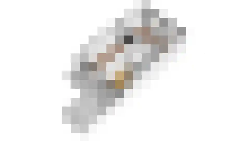 Molenwal 62 Culemborg thumbnail 52