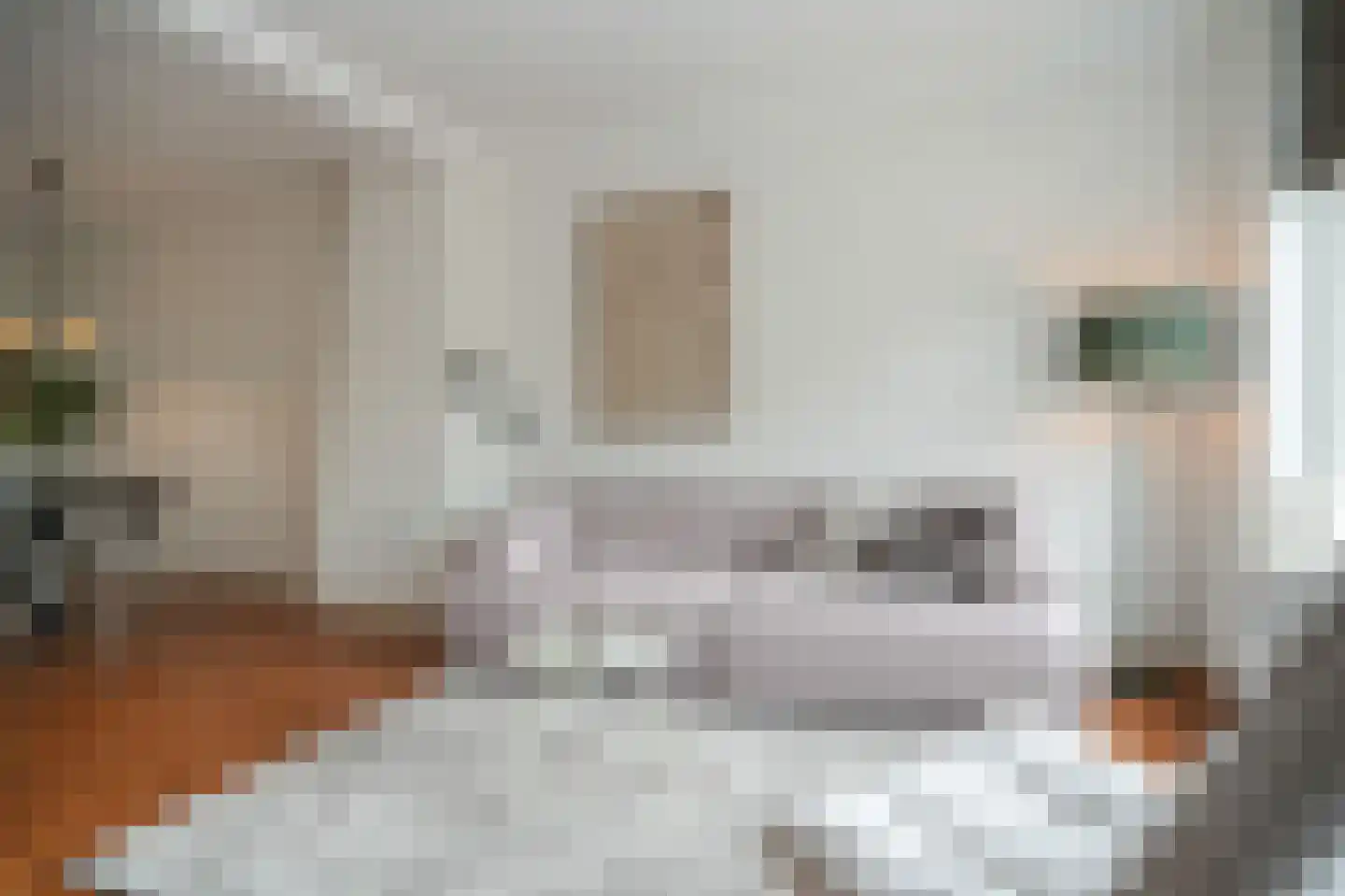 Molenwal 62 Culemborg thumbnail 7