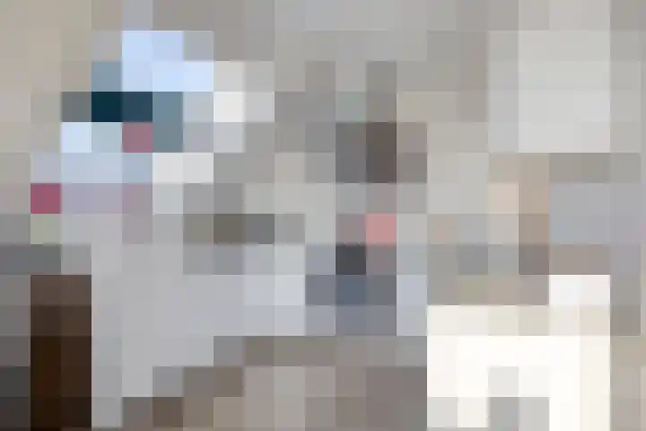 Molenwal 84 Oudewater thumbnail 7