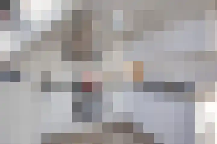 Molenwal 84 Oudewater thumbnail 8