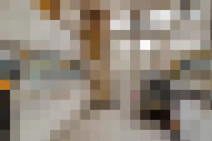 Molenwater 111 Middelburg thumbnail 22