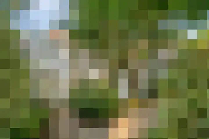 Molenwater 111 Middelburg thumbnail 38