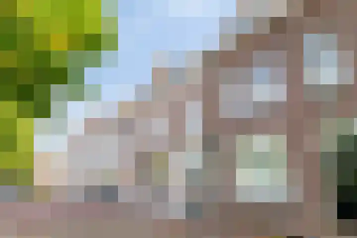 Molenwater 111 Middelburg thumbnail 4