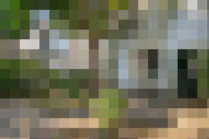 Molenwater 111 Middelburg thumbnail 41