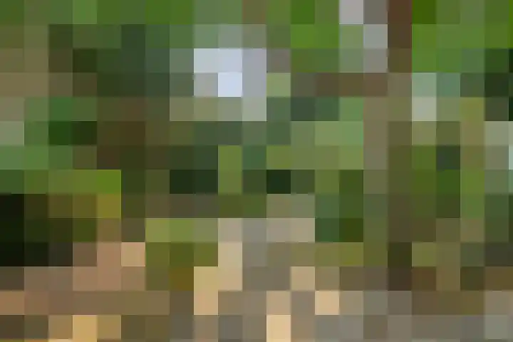 Molenwater 111 Middelburg thumbnail 5