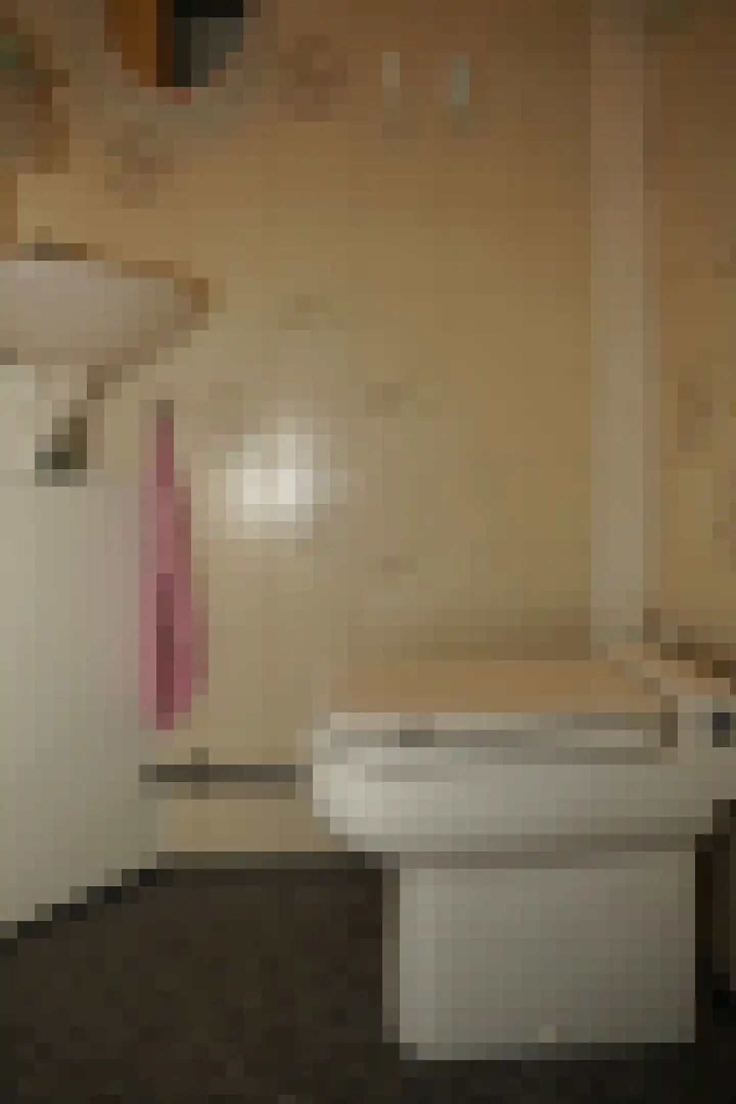 Molenwater 21 Breskens thumbnail 15