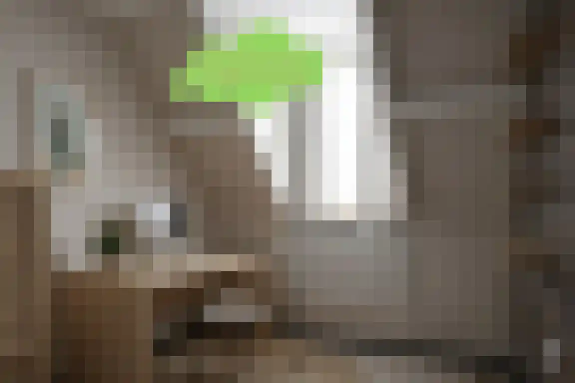 Molenwater 21 Breskens thumbnail 25